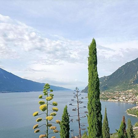 Centro Vacanze La Limonaia Limone sul Garda Exteriör bild